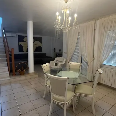 Sunny Florida טורבייחה