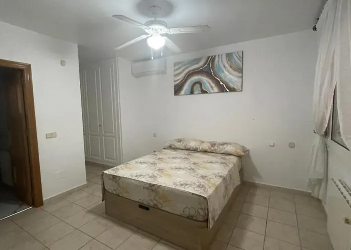 Sunny Florida טורבייחה